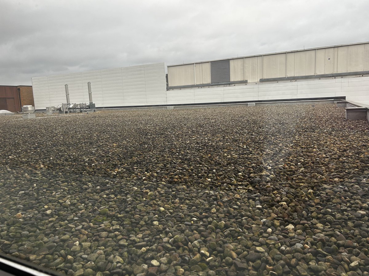 CycleFreak's tweet photo. Why would a flat roof have a layer of rocks on it? https://t.co/HJMYcFEbHL