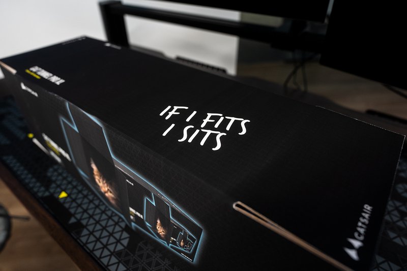 CORSAIR's tweet photo. Happy #InternationalCatDay from CATSAIR 🐱

We're celebrating one of the most purrfect companions by giving away more of our CATSAIR C47 TUNNEL PRO XLs 📦🐈

🕛: Ends TONIGHT - Aug 8th 2024 at 11:59PM PDT

Enter Meow: https://t.co/Km1GSKVzvi https://t.co/1L94CWzzq9