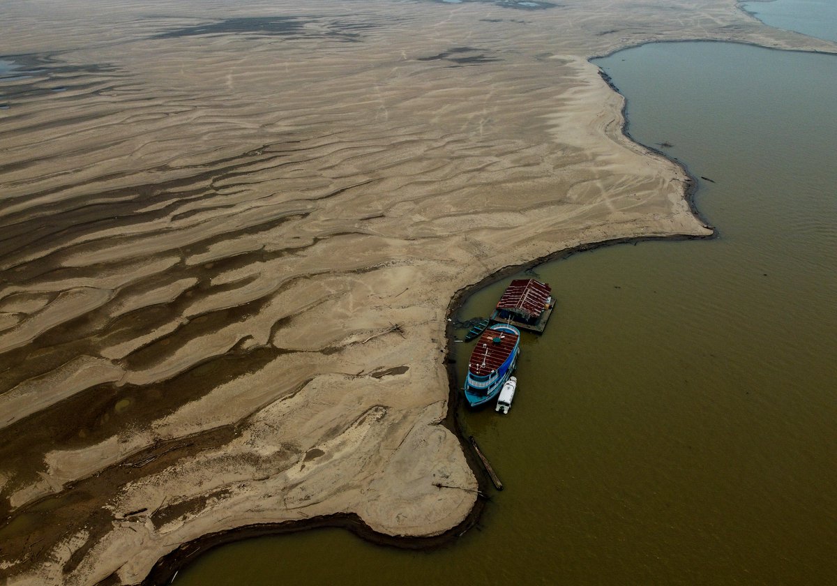 🎉 Você já visitou a exposição "Amazônia Mapeada—Imagens e Sons do DNA Ambiental" no Bosque da Ciência em Manaus? Esta é a última semana para vivenciar essa fusão única de arte e ciência que revela a beleza e os desafios urgentes enfrentados pela Amazônia. swissnex.org/brazil/event/a…