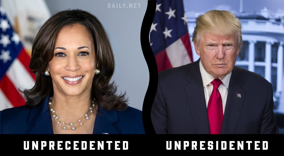 The Daily Net tweet media