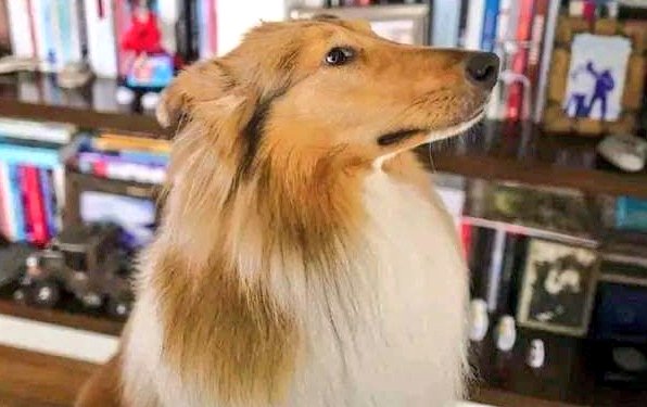 "Me quiero ir con Milei"