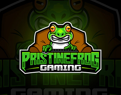 Hey, looking for a professional Graphic Designer? HMU for a reasonable price I can design Gaming Logo, business logo, mascot logo, intro/outro, header, banner, overlay, stream package, emotes,thumbnail

#mascotlogo #gaminglogo #businesslogo #introoutro #header #banner #overlay