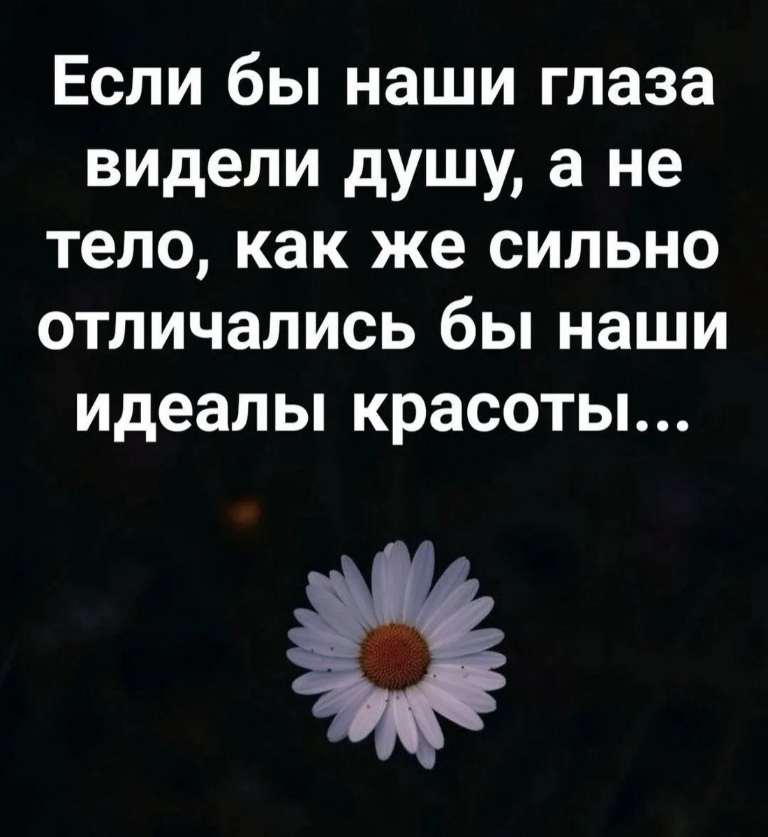<a href="/bayara099/">Н.Эрхэмбаяр</a>
