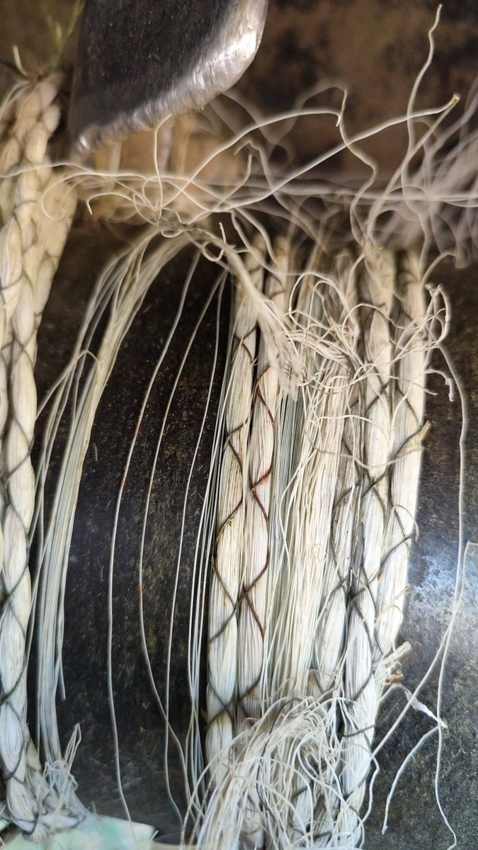 Horse electric 🤬🤬🤬