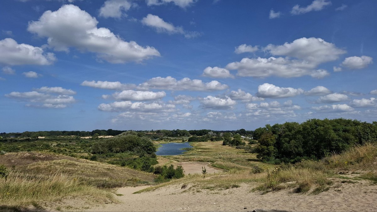 Bart Meert tweet media