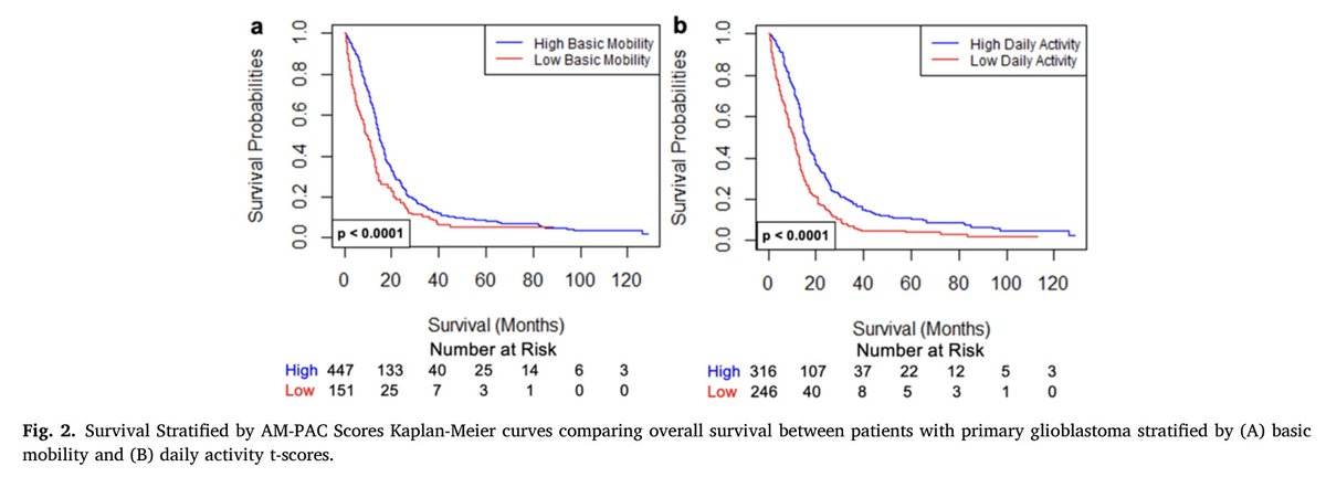 NeuroOncSurgery's tweet photo. In this study, @RakovecMaureen+ assessed 600 #glioblastoma patients treated at a single institution

They found that Activity Measure for Post-Acute Care (AM-PAC) scores may be able to predict increased length of stay, non-home discharges and readmission

Great work!
@_jocn https://t.co/v7dUqmWRMp