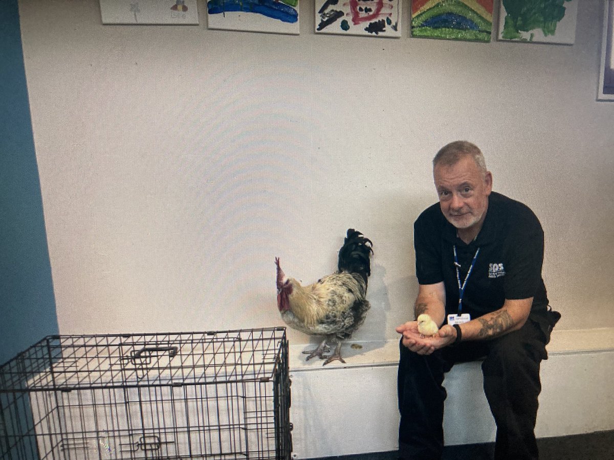 Our new residents &amp; Alan  😁