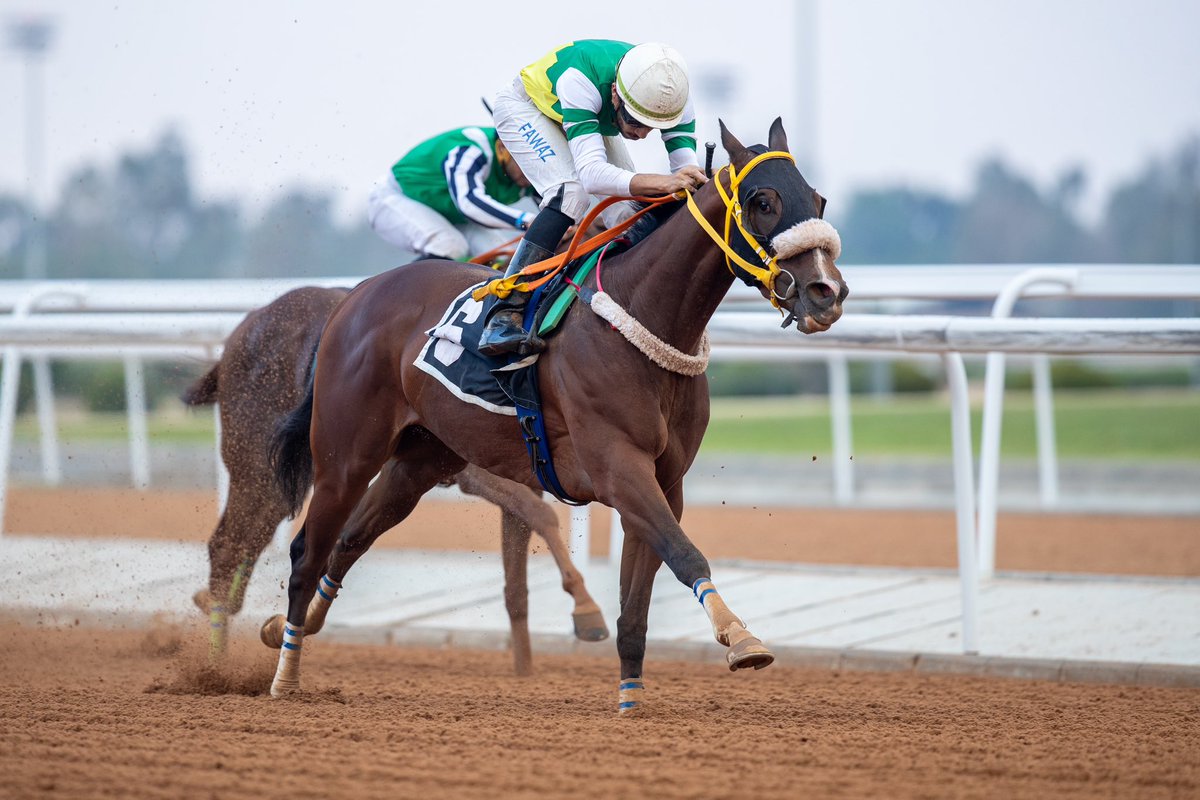 JockeyClub_SA's tweet photo. نتيجة الشوط الـ 2 الحفل ( 16 ) 

▫️الفائز : ابن المهلب
▫️المالك : محمد سعيد محمد الودعاني 
▫️المدرب : عبدالرحمن العتيبي 
▫️الخيال : فوار وناس
▫️المسافة : 1200م
▫️الزمن : 1:18:65

#نادي_سباقات_الخيل 🐎 https://t.co/hcaGlUUlzu