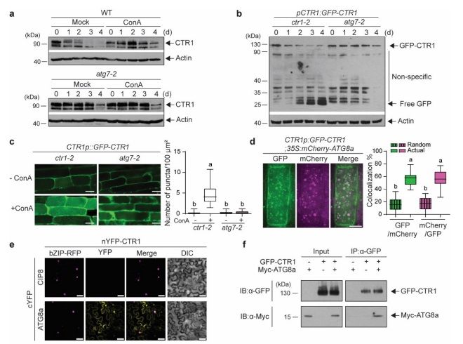Plant Science tweet media