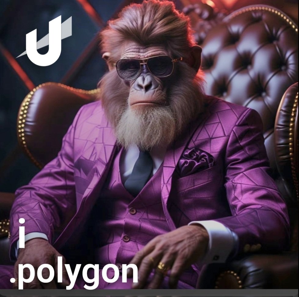 Ohh_Mr_Silver's tweet photo. You understand those onchain domains you own are prime digital real estate...... right? 

#Domains #Crypto #Polygon https://t.co/q486ty2O76