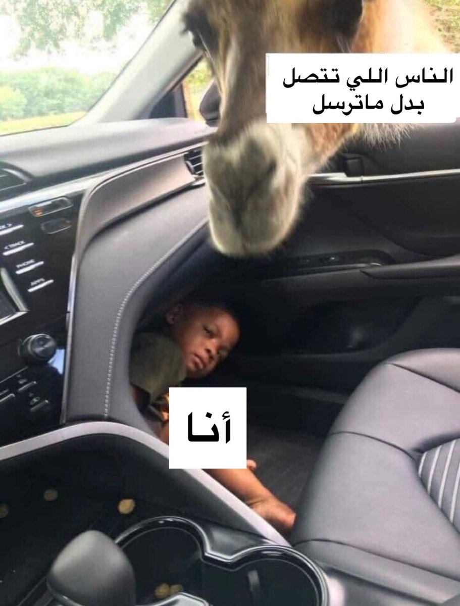 رَناد الثقفي (@lezeldaa) on Twitter photo 