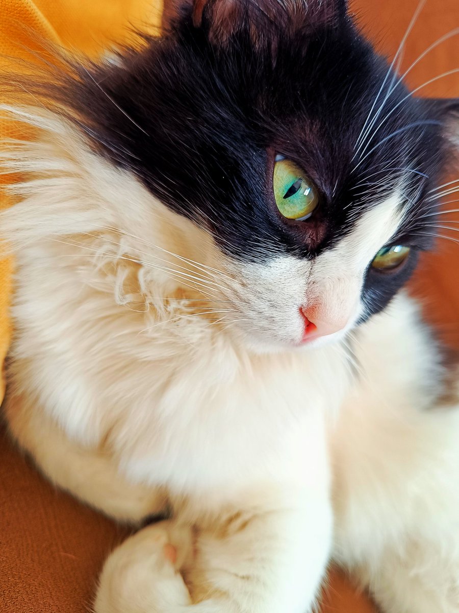 Quncir :) rihamin 🌼
#dünyakedilergünü