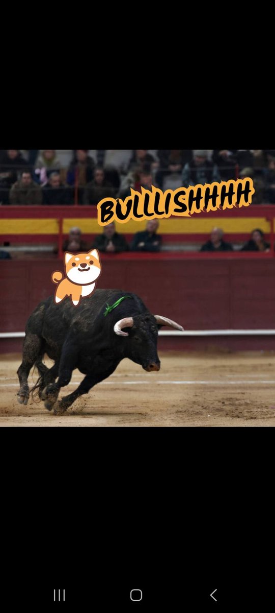 _DeFiCop's tweet photo. @FukuDoge_Cto @BigaDan10 @soldesign_ $FUKU the bull rider https://t.co/6cfMiiagcb