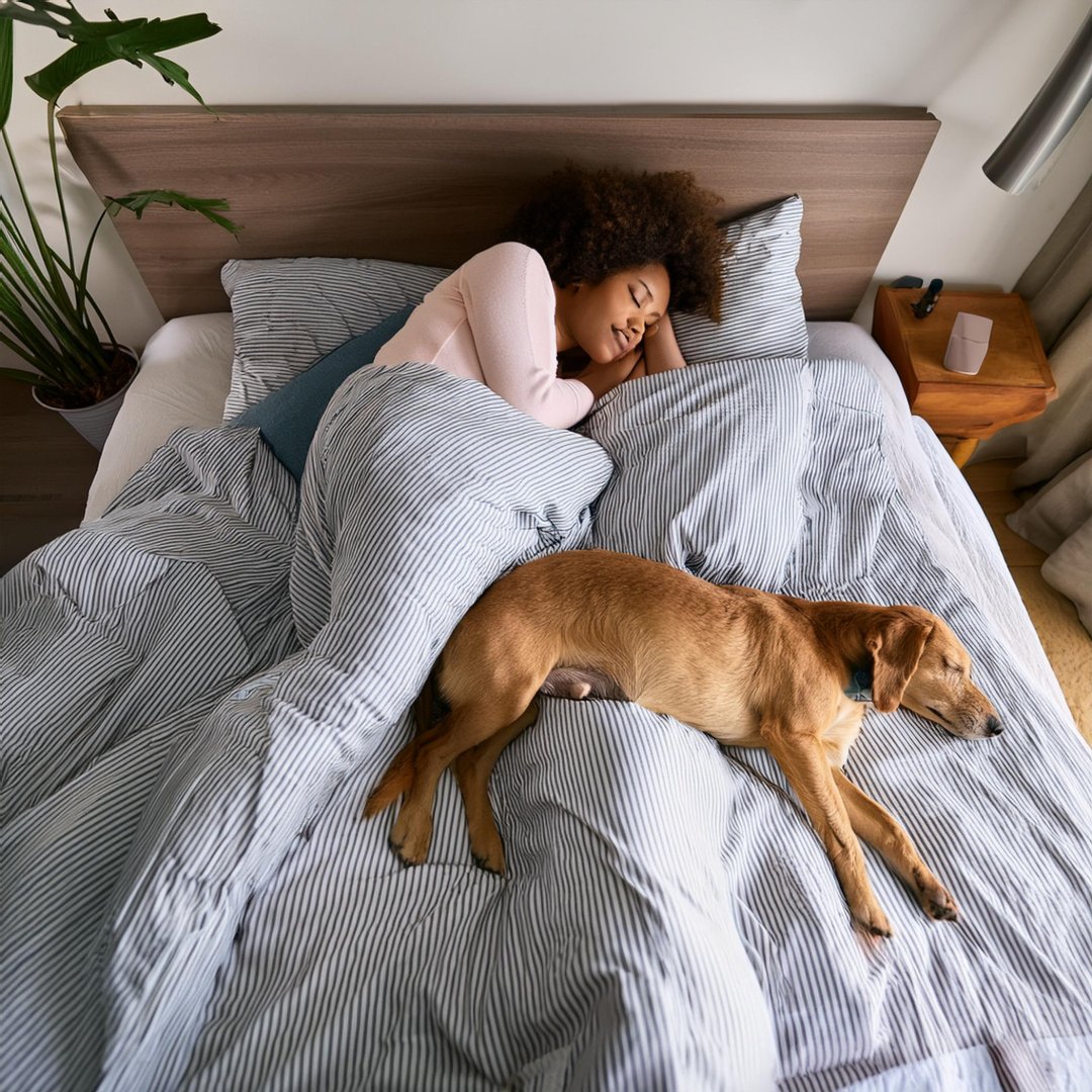 doggondiments's tweet image. Do you ever have trouble sleeping because your furry friend has taken over your bed? 🐶🛏️ But let's be honest, whose bed is it really? 😂 Share your funny stories in the comments below!

#dogbed #furfriend #sleepingpup #doglife #dogmom