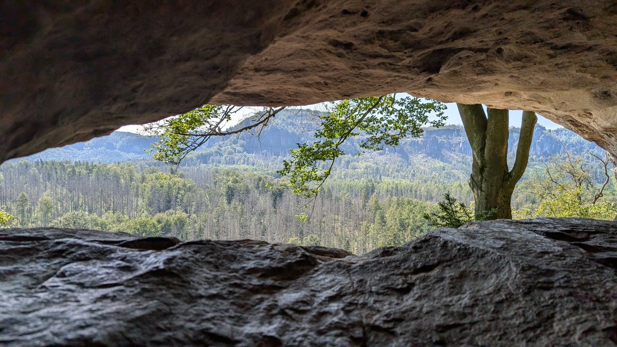 Paul Langerhans Institute Dresden - PLID (@plid_info) on Twitter photo Yesterday, the group of @msolimena took #diabetes #prevention seriously and hiked through the beautiful Saxon Switzerland. What a day! 🤩🥵
#MoreThan10000Steps #summer #LabTrip Yesterday, the group of @msolimena took #diabetes #prevention seriously and hiked through the beautiful Saxon Switzerland. What a day! 🤩🥵
#MoreThan10000Steps #summer #LabTrip
