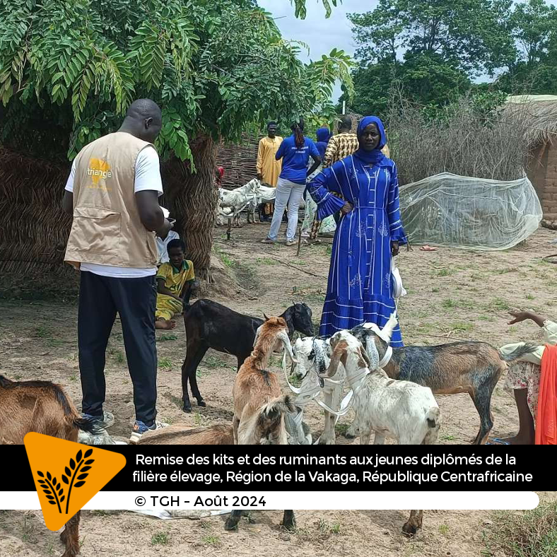 Triangle Génération Humanitaire tweet media