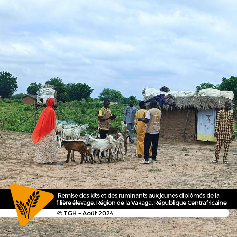 Depuis 2020, #TGH soutien le développement socioéconomique des populations de la préfecture de la #Vakaga en #RCA avec le projet #iboungbi 

Le 5 août, des #kits d'insertion &amp; des ruminants ont été remis aux jeunes formés dans la filière élevage grâce au soutien de <a href="/AFD_France/">Agence Française de #Développement (AFD) 🇫🇷 🇪🇺</a>