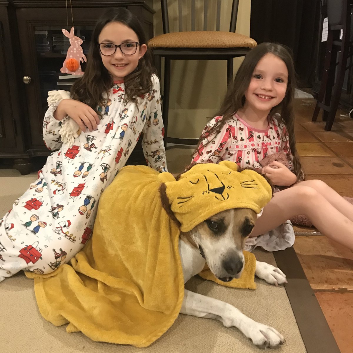 SaltyHealing's tweet image. The most important thing to remember when #adopting a #Potcake is that you are #domesticating a #wild #dog. They are super intelligent, easy to train, but used to fending for themselves and fighting for food. Your best quality is PATIENCE.🐶😍🙏🏾