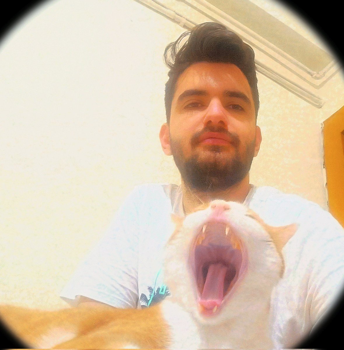 #dünyakedilergünü sakin #tarçın