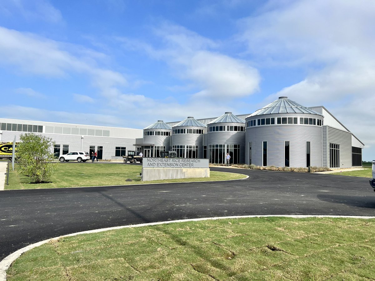 AR Rice Board tweet media