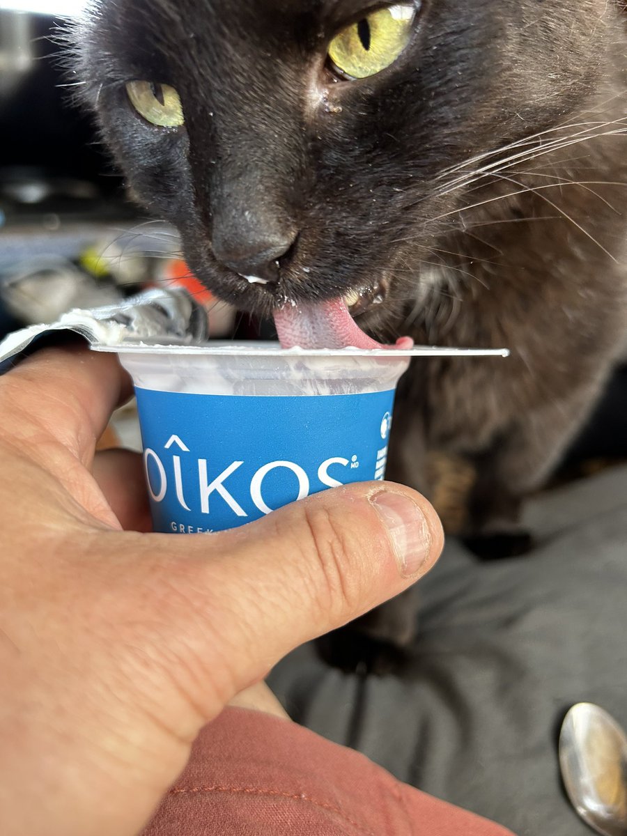 🇨🇦 Uncle Joe 🇨🇦🎥🐈⬛♎️ tweet media