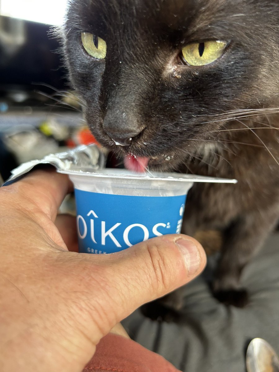 🇨🇦 Uncle Joe 🇨🇦🎥🐈⬛♎️ tweet media