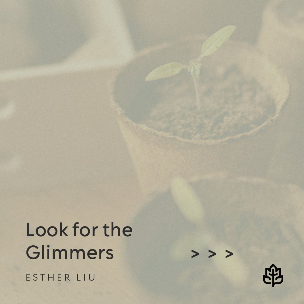 ccef's tweet photo. New blog by Esther Liu: "Look for the Glimmers." Read it here: https://t.co/pyUBQfbwBG https://t.co/XMqTnZMd10