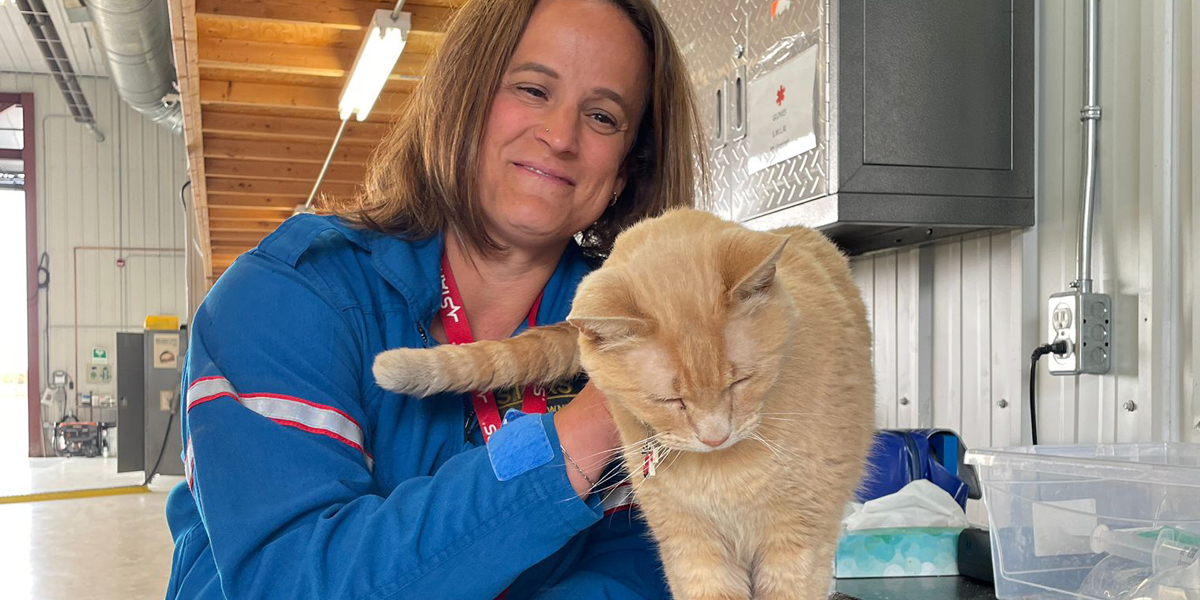 STARSambulance's tweet photo. Happy #InternationalCatDay to our purr-fect employee, Hangar Cat.πΎ
Fun (feline) facts:
β’ Role: Chief Mouse Officer & Crew Companion
β’ Best friend: β€οΈ's anyone that gives him treats.
β’ Go-to spot: Cat bed near the crew lockers.
#MousePatrol #HangarCat #catsofinstagram https://t.co/t1bPP9Ac4K