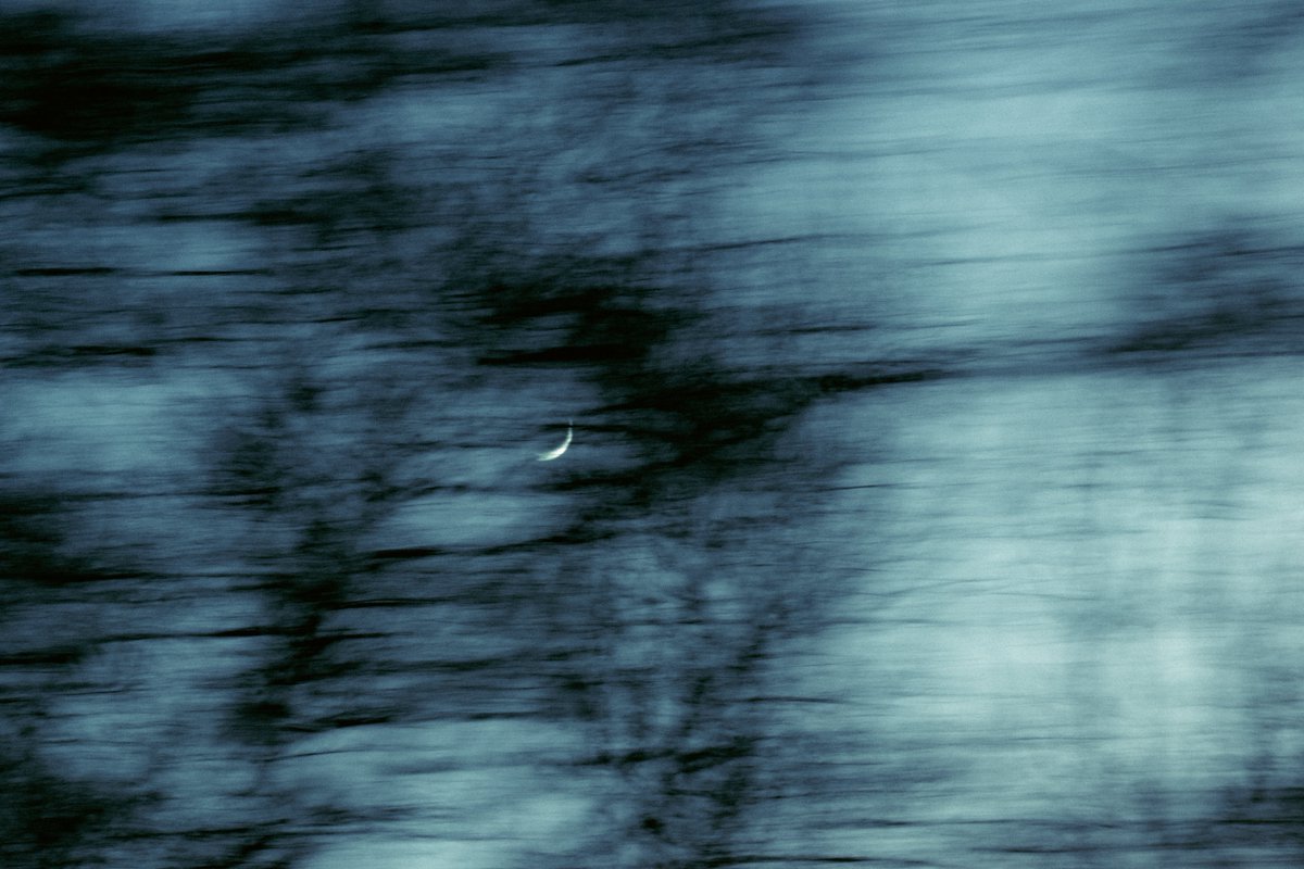 SolLapse's tweet image. blurry photos I have intentionally taken of the moon: