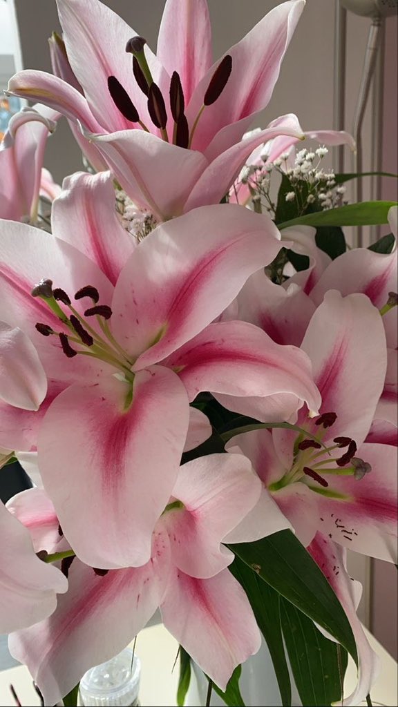 i3Moment's tweet photo. Lilies https://t.co/GIsA2hwO8M