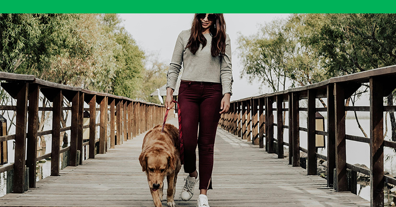 GMSLivingWell Blog: Benefits of Walking 30 Minutes a Day
gms.ca/living-well/be…