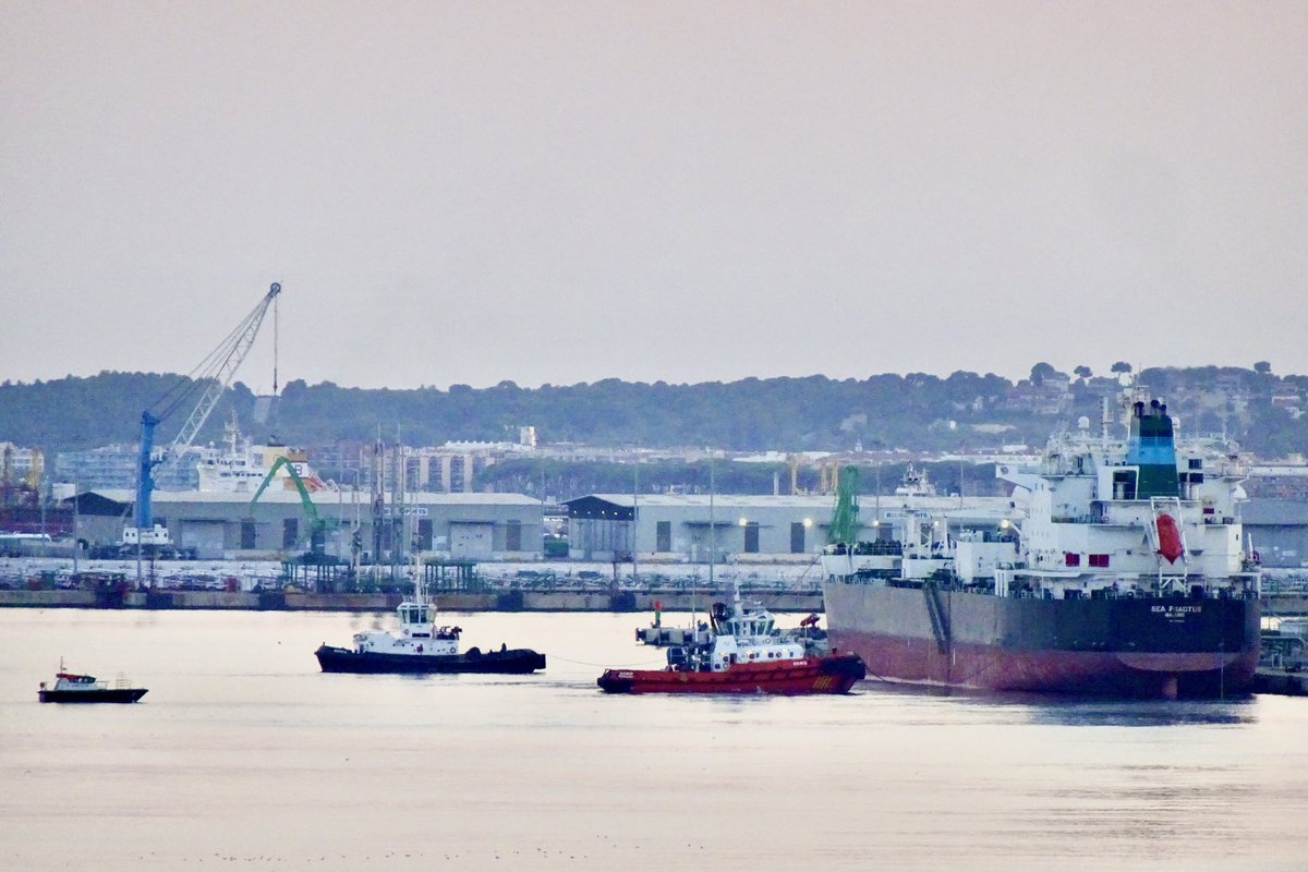 AfricaUya's tweet image. SEA FRACTUS unberthing 👋🤓 #Pilot #tug #Tarragona #ship #VTS #shipspotter #maritime #Thursday