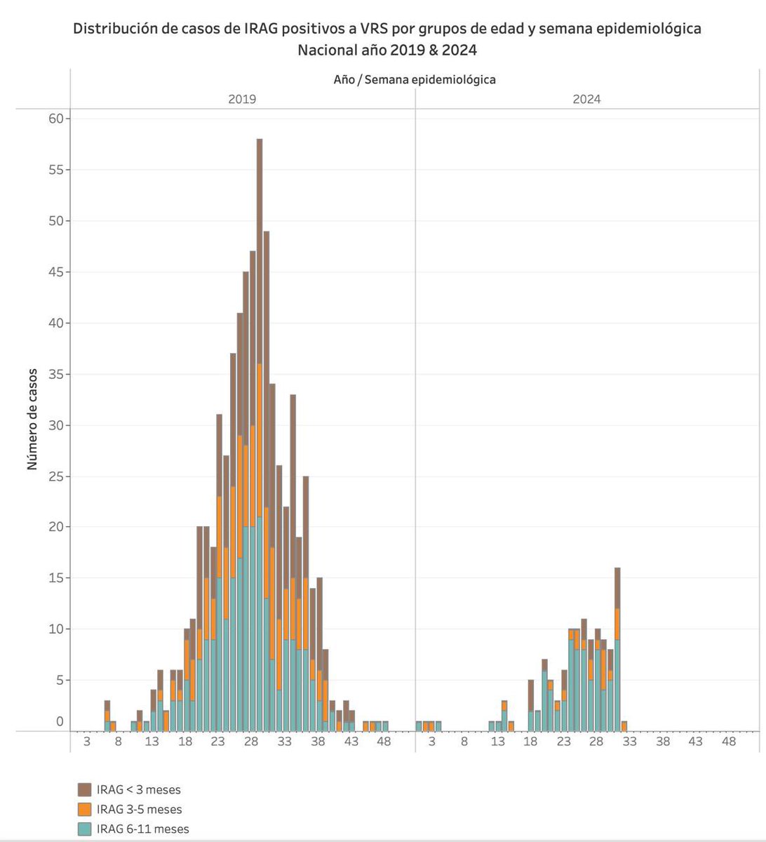 Impresiona ver los casos de infección respiratoria aguda grave (IRAG) x virus respiratorio sincicial 2019 (pre pandemia) versus 2024, con la estrategia de prevención del VRS con nirsevimab. Casi desaparecen los casos en menores de 6 meses.