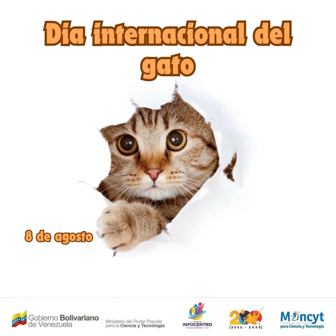 "Los gatos no tienen dueño, tienen familia. ¡Feliz Día Internacional del Gato!"
#PuebloSonrienteYEnPaz