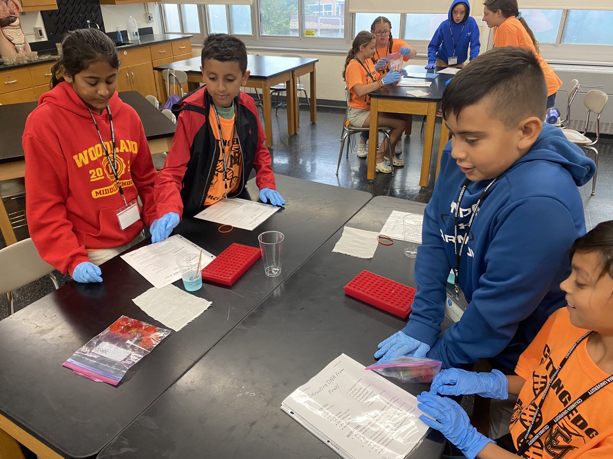 Ms Clarke tweet media