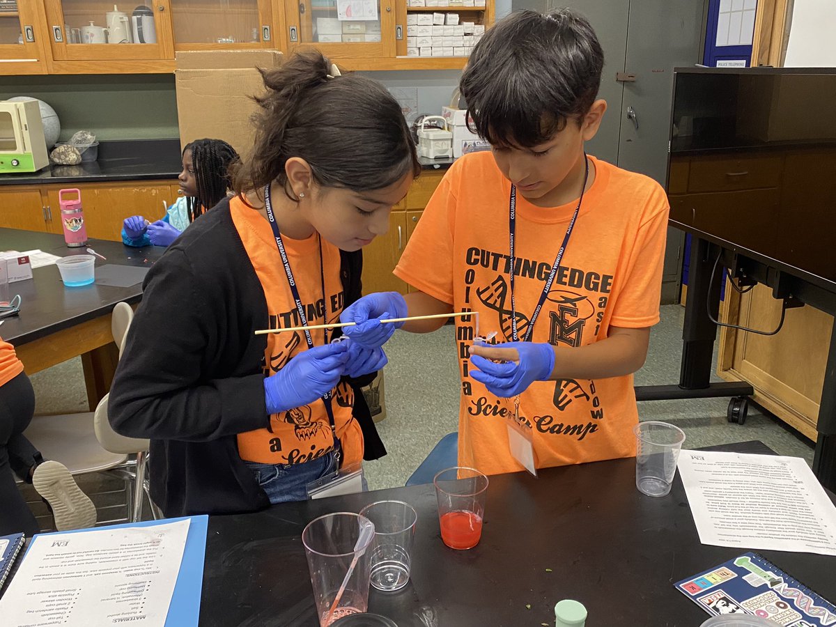 Ms Clarke tweet media