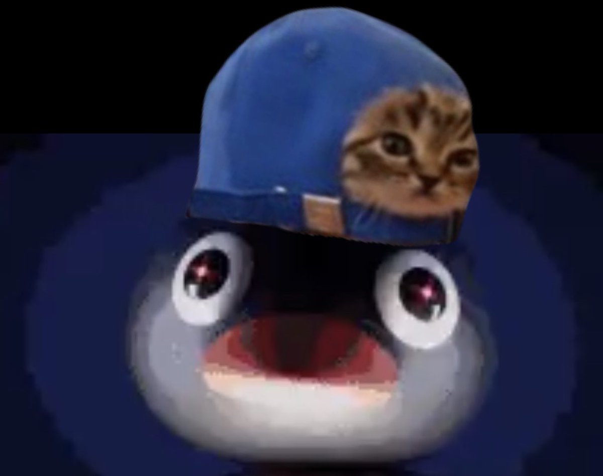 CatCapCTO tweet picture