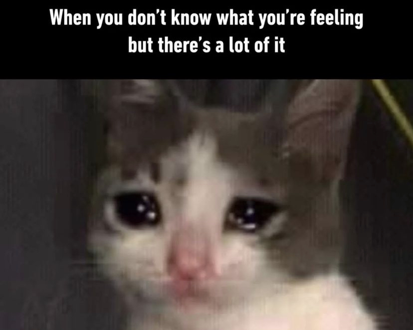 introvertsmemes's tweet photo. https://t.co/7AQ7IWnt5n