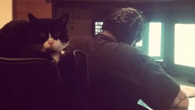 edmundmcmillen's tweet photo. Sadly guppy passed away 9+ years ago. He was a great cat. https://t.co/IcMDZSFkp8