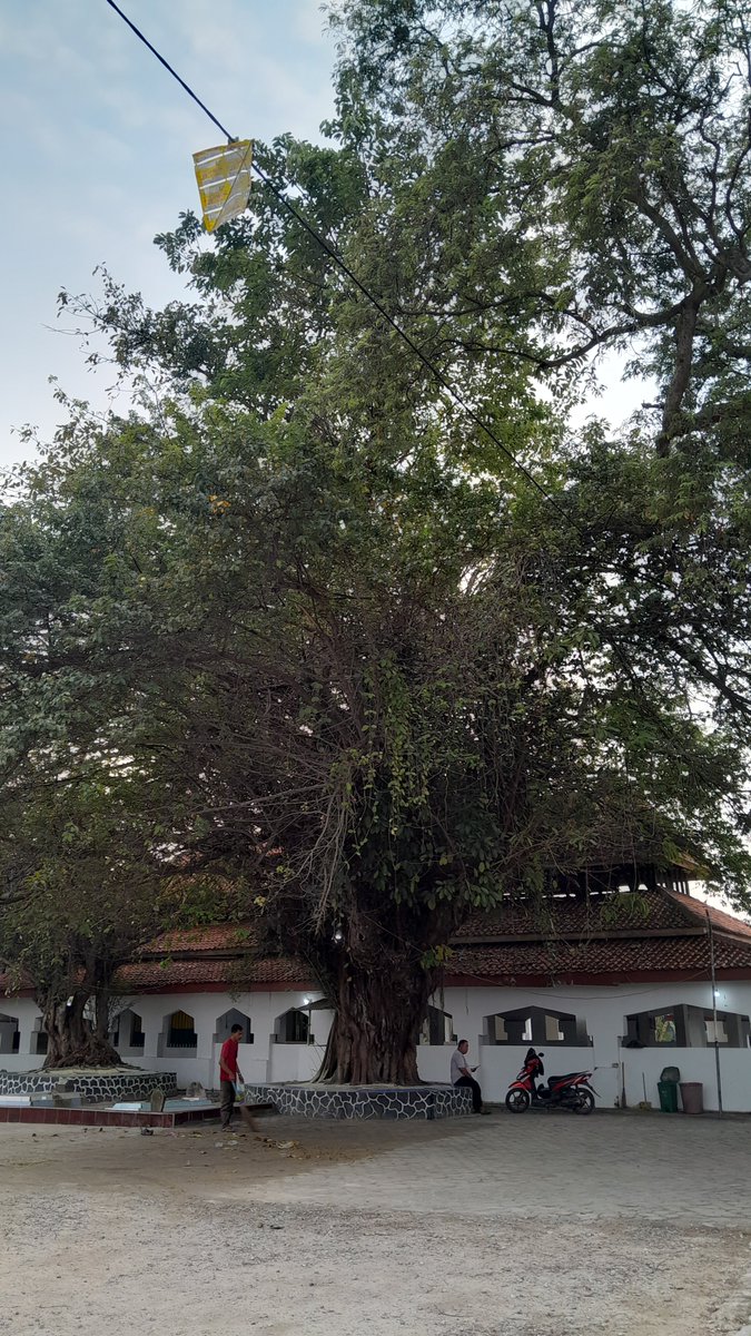 andy_waluya's tweet photo. perjalanan hari ini cukup seru~
melewati beberapa rumah burung walet, makam para raja banten, dan beberapa peninggalan kesultanan banten dgn gaya aristektur (akulturasi) dari jawa, cina, dan eropa. bismillah lanjut besok menyusuri pantai barat jawa. https://t.co/jMKjgWvOr1