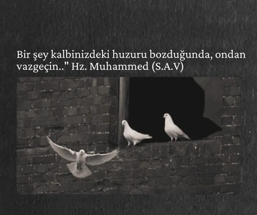 Güneş (@gnsssgnssss) on Twitter photo 