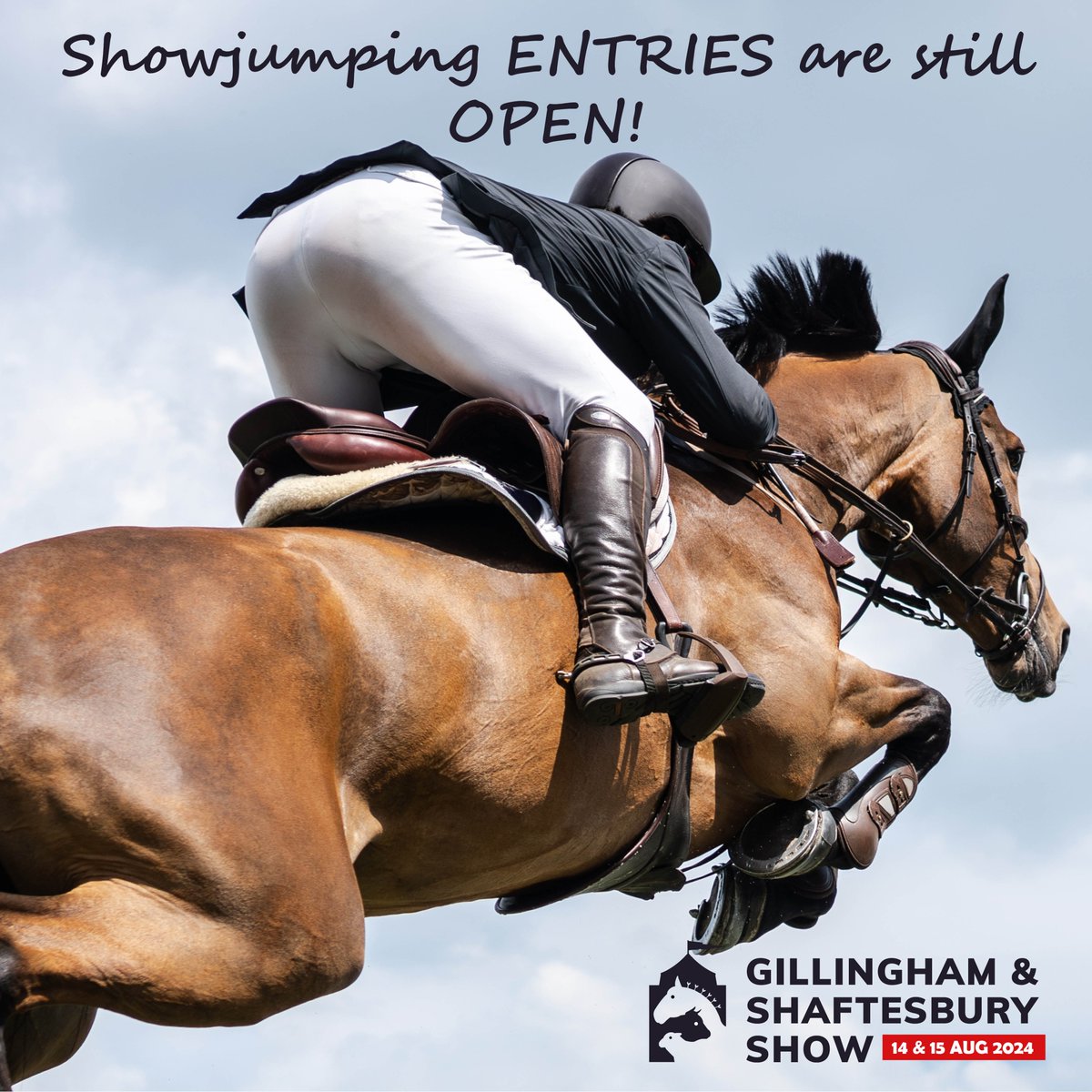 🐴 The Gillingham &amp; Shaftesbury Show on August 14th &amp; 15th is still accepting entries for showjumping events (British showjumping registered)! Entries &gt; tinyurl.com/5hf9f39n