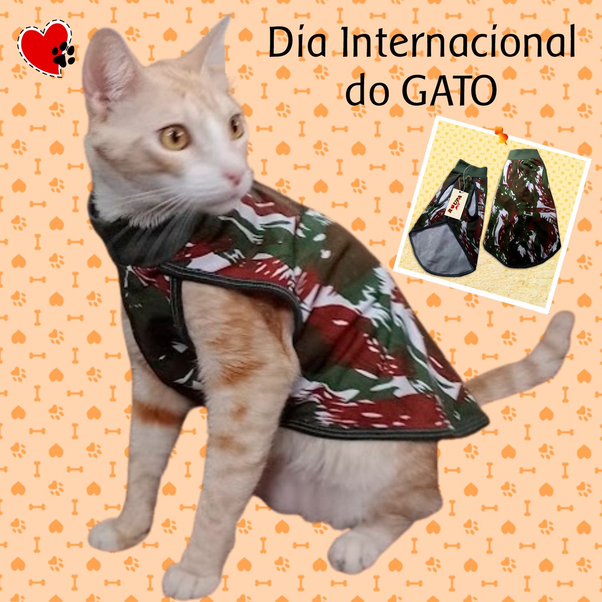 roupapetbr's tweet image. O #DIAINTERNACIONALDOGATO 🐈 visa conscientizar sobre como cuidar e garantir o bem-estar dos #felinos 😻
Aproveita para mimar seu felino 🐱!
Seu gatinho ficará charmoso com essa #roupapet soft camuflada.
Visite nossa loja🛒roupapet.com.br/soft 🐾
 
#diadogato  #roupaparagato