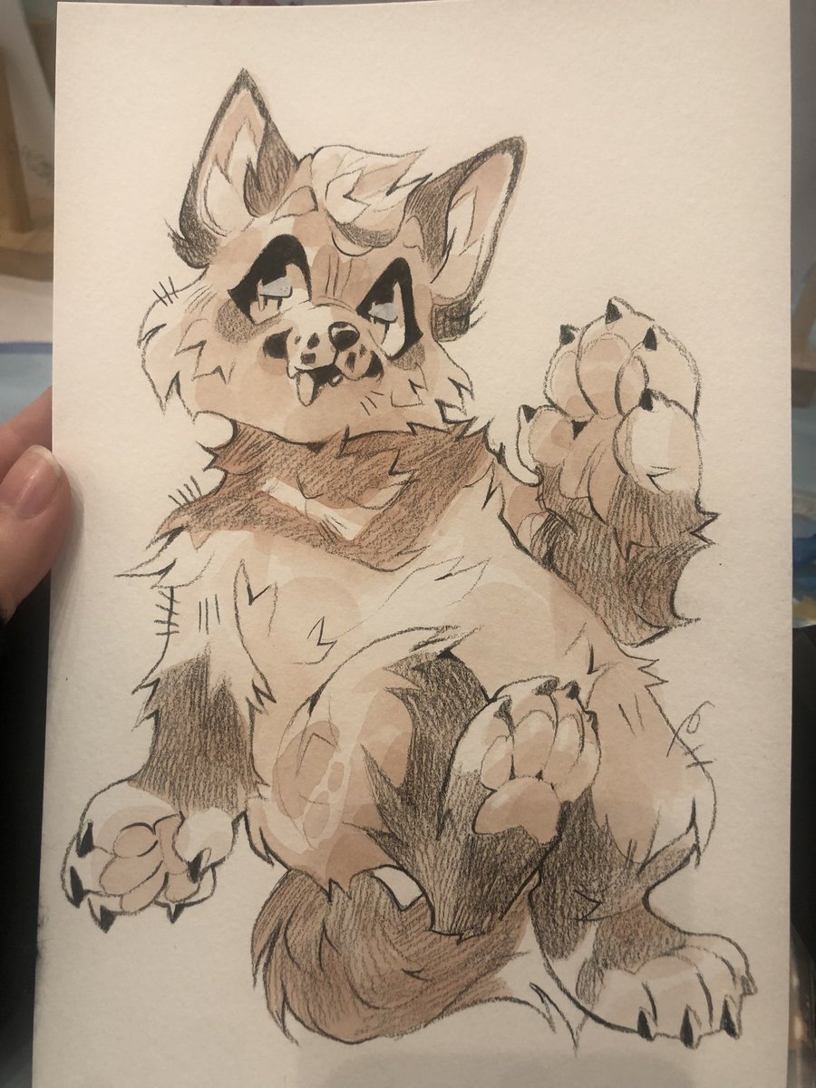 january 🔜 CFF, MFF(?), ANW, ANE tweet media