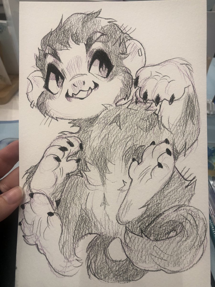 january 🔜 CFF, MFF(?), ANW, ANE tweet media