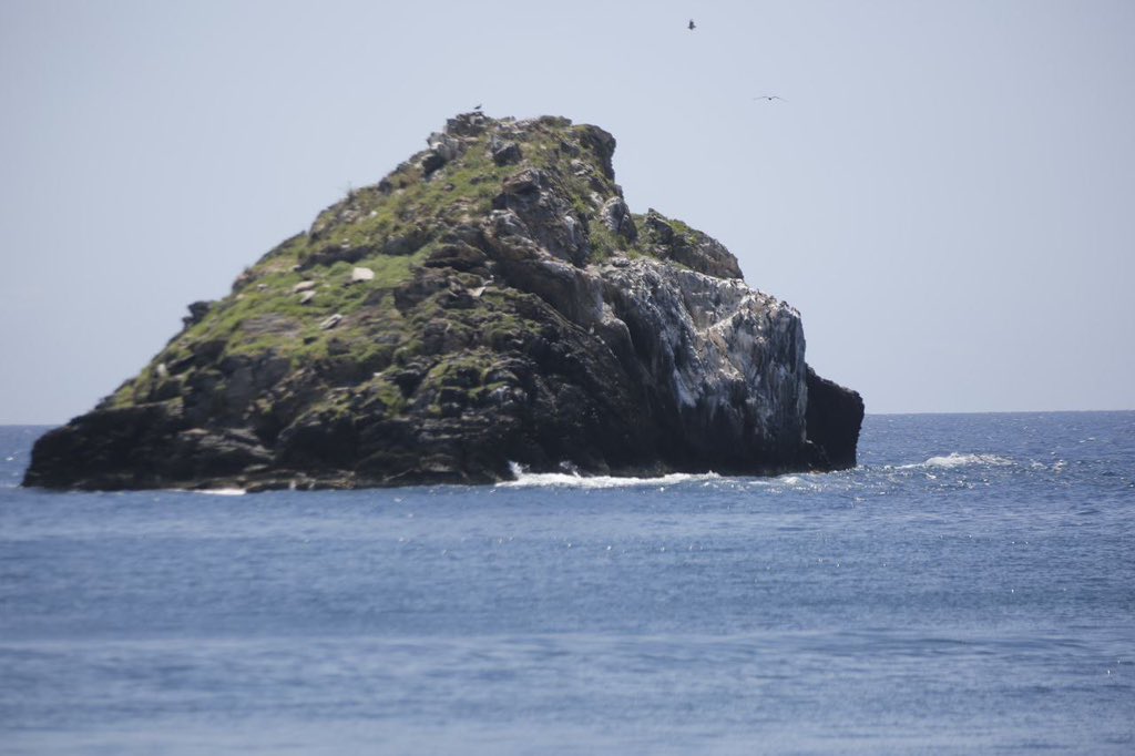 ¡Buenas Noticias Aragua! 

Estamos Anunciando la Construcción de un Muelle para Hidrovias que unirá el Eje Costero Aragüeño y Capital, 40 mts de largo, en el municipio Costa de Oro #Aragua podrá recibir embarcaciones de Calado de 5 mts de profundidad