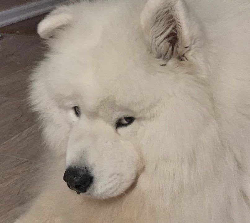 ขอสาปให้ไม่มีแฟน