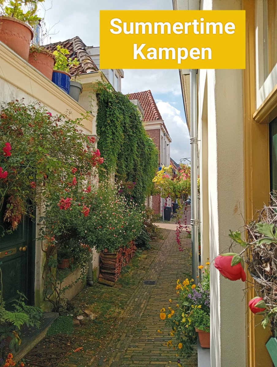 Kampen and Beyond tweet media