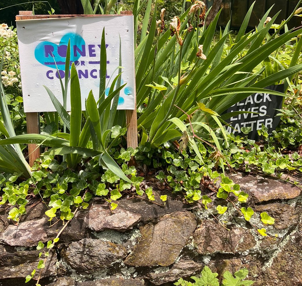 KimRoneyAVL's tweet image. I love seeing our repurposed &amp;amp; repurposable signs serving a next purpose! I’ll be back to enjoy more convo in Kenilworth and bring a painted rock to add to Bubba the snake. Want a #KimRoneyforAsheville #yardsign b4 the election Nov 5th? Link here for info: kimroney4asheville.com/contact/