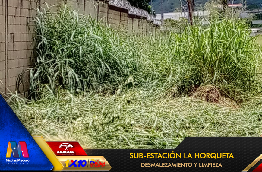viasdearaguas's tweet photo. 🚧📷Garantizando que la subestación La Horqueta opere de manera eficiente mediante el despeje de maleza, contribuyendo a la confiabilidad del suministro eléctrico.
#PuebloSonrienteYEnPaz 🇻🇪
Desmalezar hoy, energía segura mañana.
@NicolasMaduro @Soykarinacarpio @CorpoelecInfo https://t.co/dKrYG6ESPC